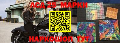 крисы Кунгур