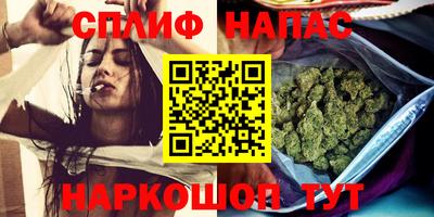 крисы Кунгур