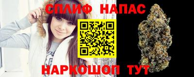 крисы Кунгур