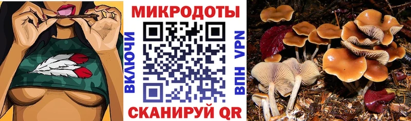 магазин  наркотиков  Каменск-Уральский  Галлюциногенные грибы ЛСД 