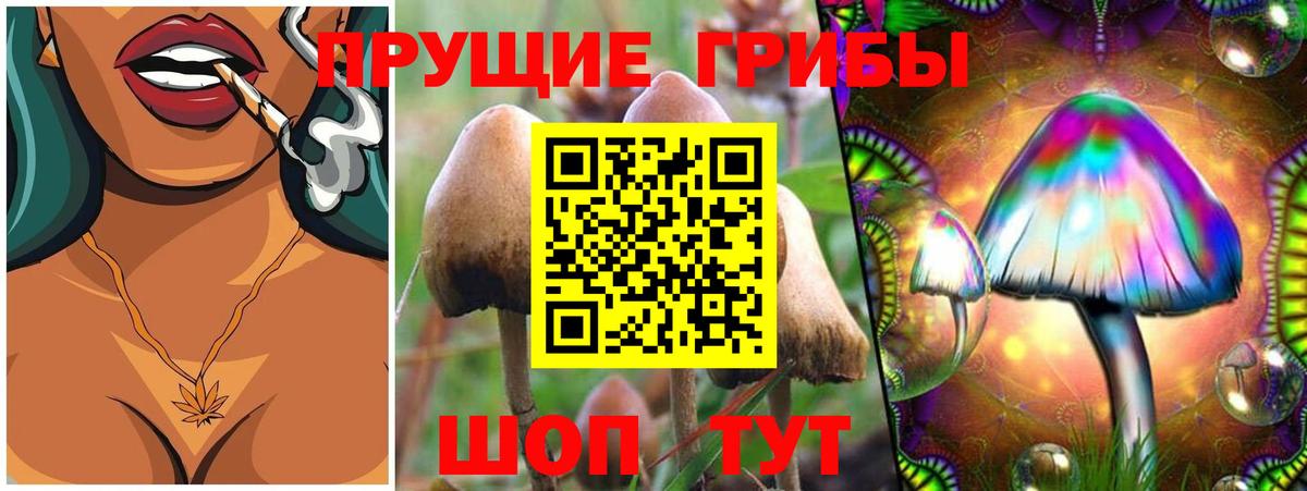 Галлюциногенные грибы Cubensis Каменск-Уральский