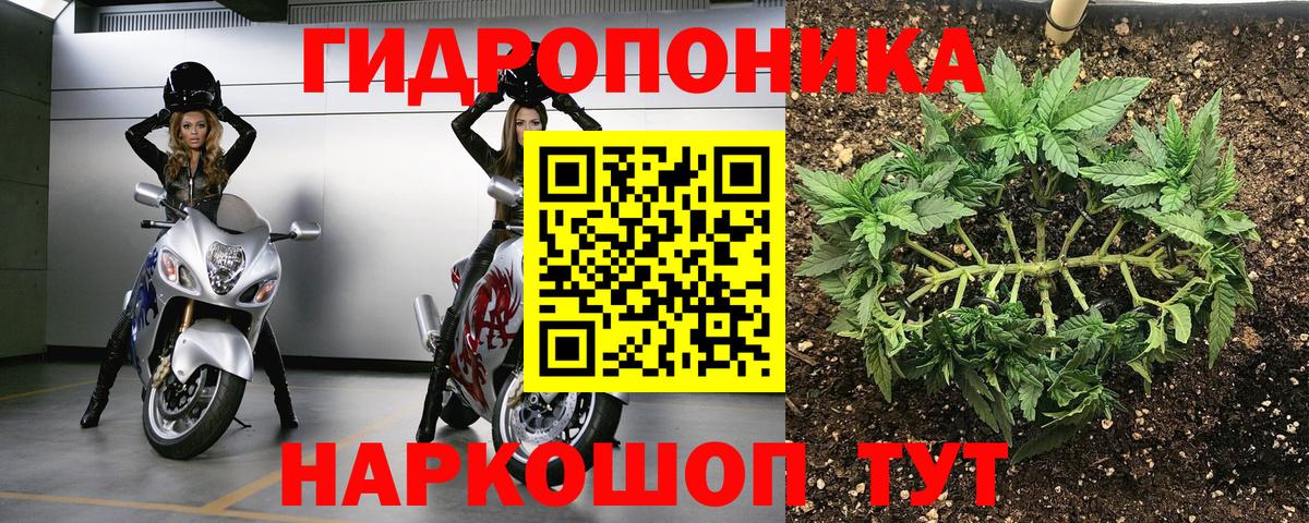 Канабис Amnesia Каменск-Уральский